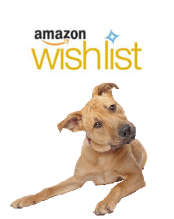 Donate much needed supplies for foster dogs!