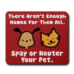 Spay and Neuter