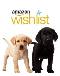 Donate much needed supplies for puppies!